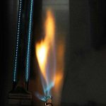 BILEX605RBPSS-1-IL-8