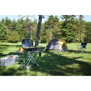 tq285x-camping-napoleon-grills