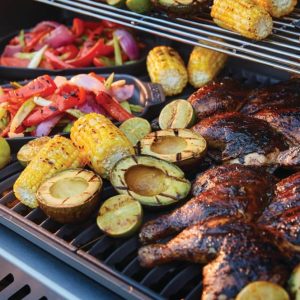 RXT625SIBPSS-1-CH-Web-Gallery-05-Rogue-RXT625RSIBPSS-Life-Detail-Food-1