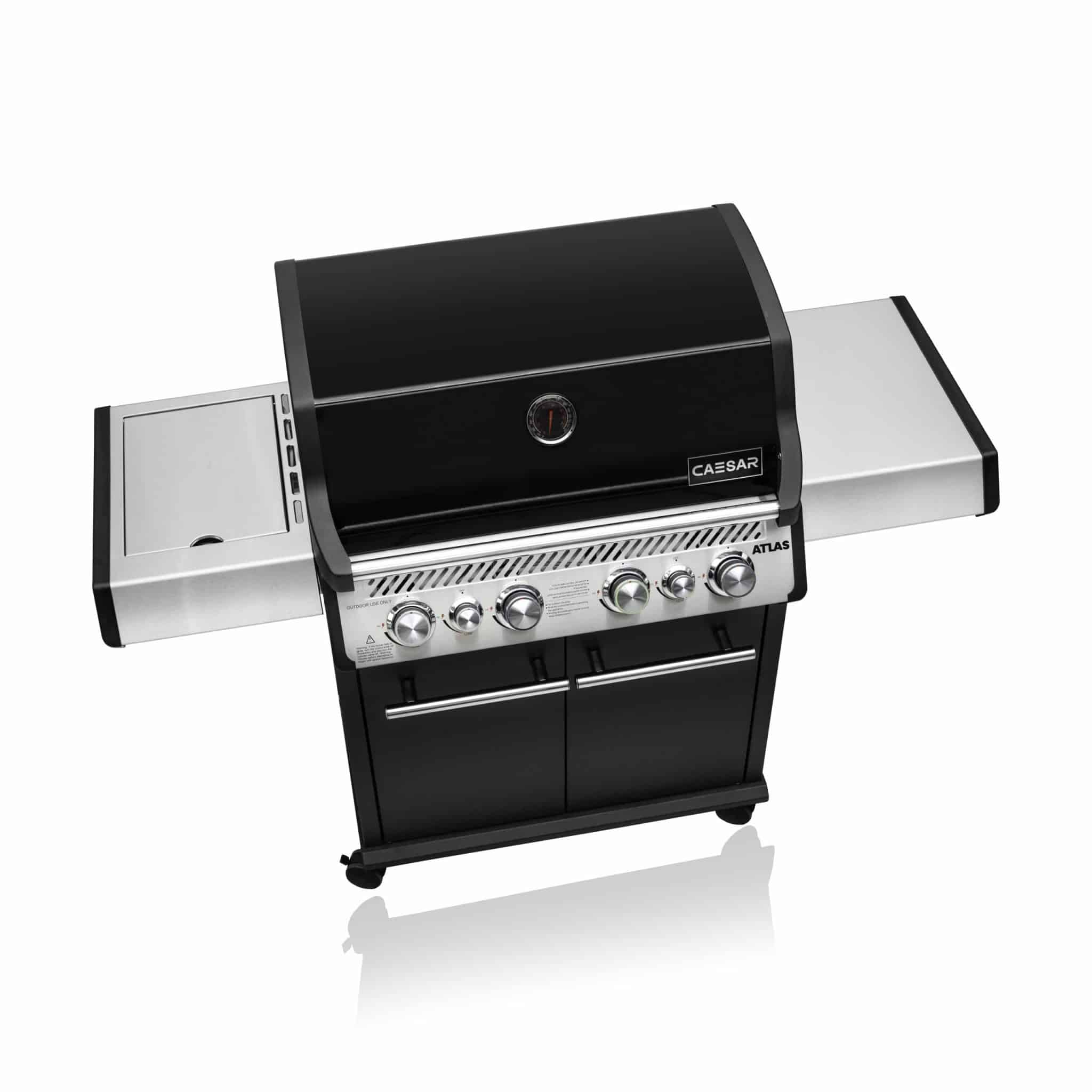 ג׳-כרמל-סיזר-רקע-לבן-10.01.22-1665-copy-scaled-1-scaled-1