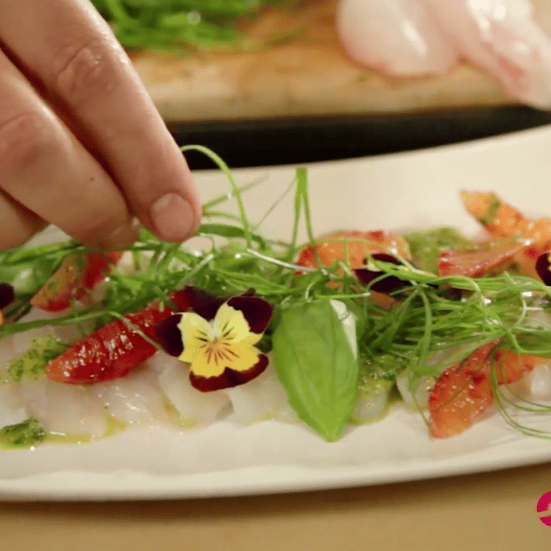 מתכון לסשימי לוקוס עם רוטב אסייתי