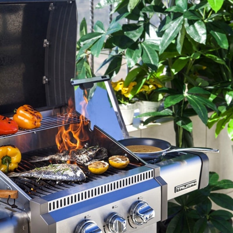 דג דניס ברוטב צ'רמולה