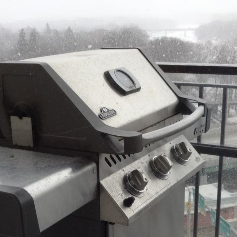 צלייה בחורף