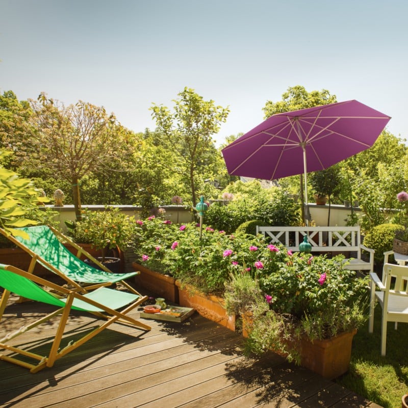 אודות שמשיות GLATZ