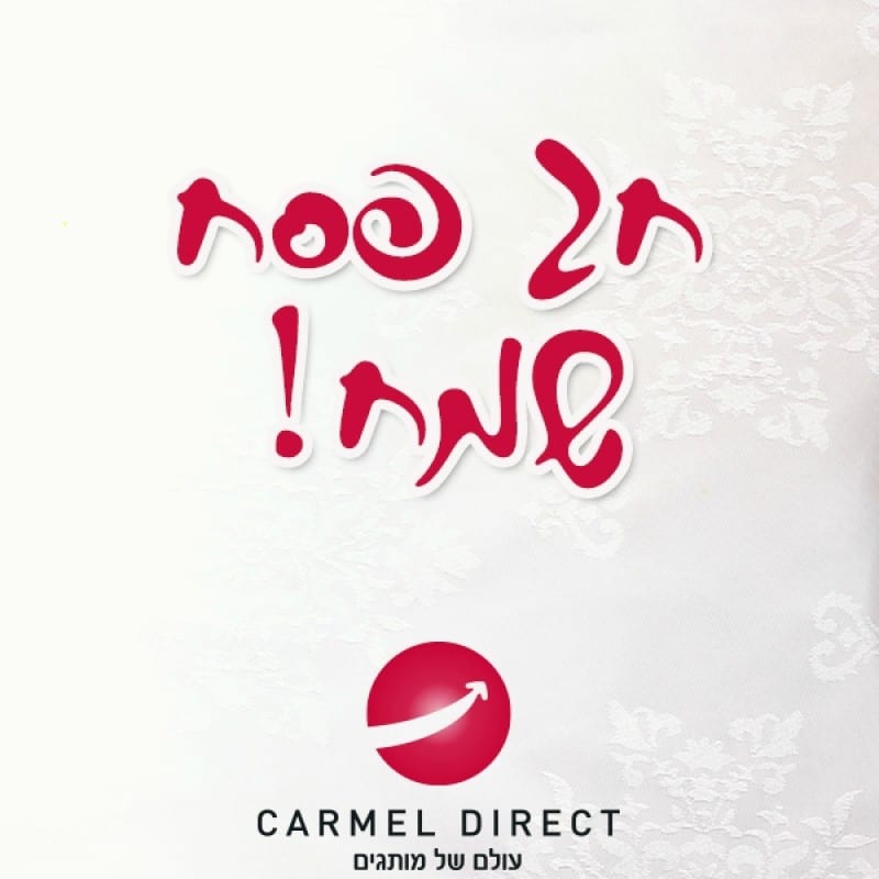 מתכוני גריל חגיגיים לחג הפסח