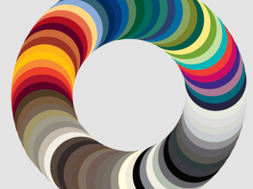 מגוון צבעי שמשיות גלץ