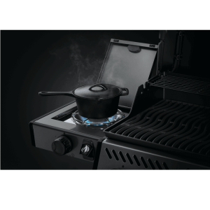 Web_800px-Freestyle-F365_F425-Detail-Range-SideBurner-Pot