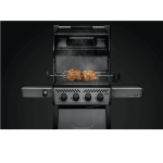 Web_800px-Freestyle-F425-GT-DE-Prod-Str_In-Use-Rotiss