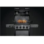Web_800px-Freestyle-F425-SIB-GT-DE-Prod-Str_In-Use-Rotiss
