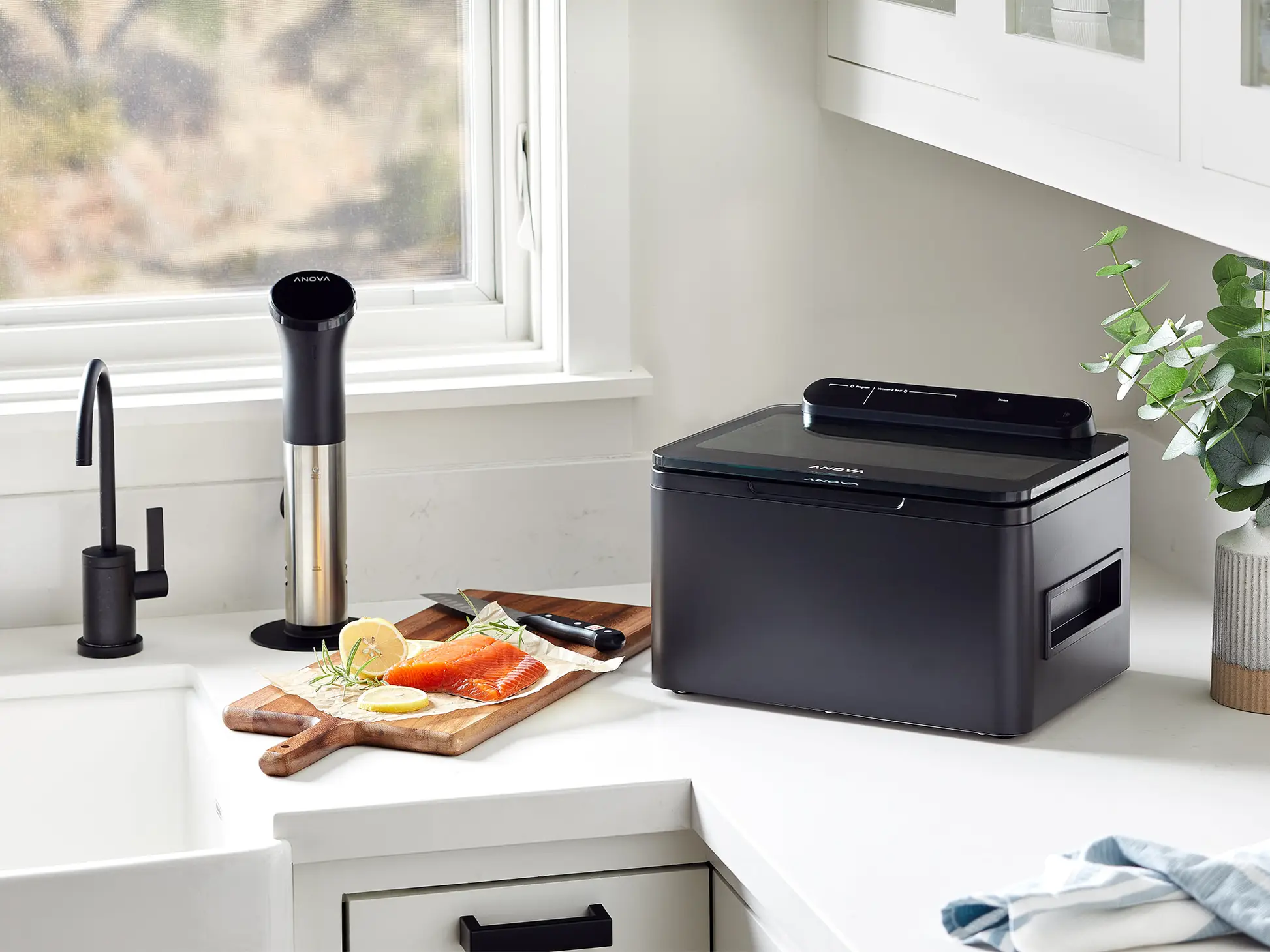 Anova-Chamber-Vacuum-Sealer-1