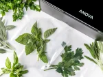 Anova-Chamber-Vacuum-Sealer-6