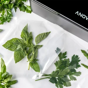 Anova-Chamber-Vacuum-Sealer-6