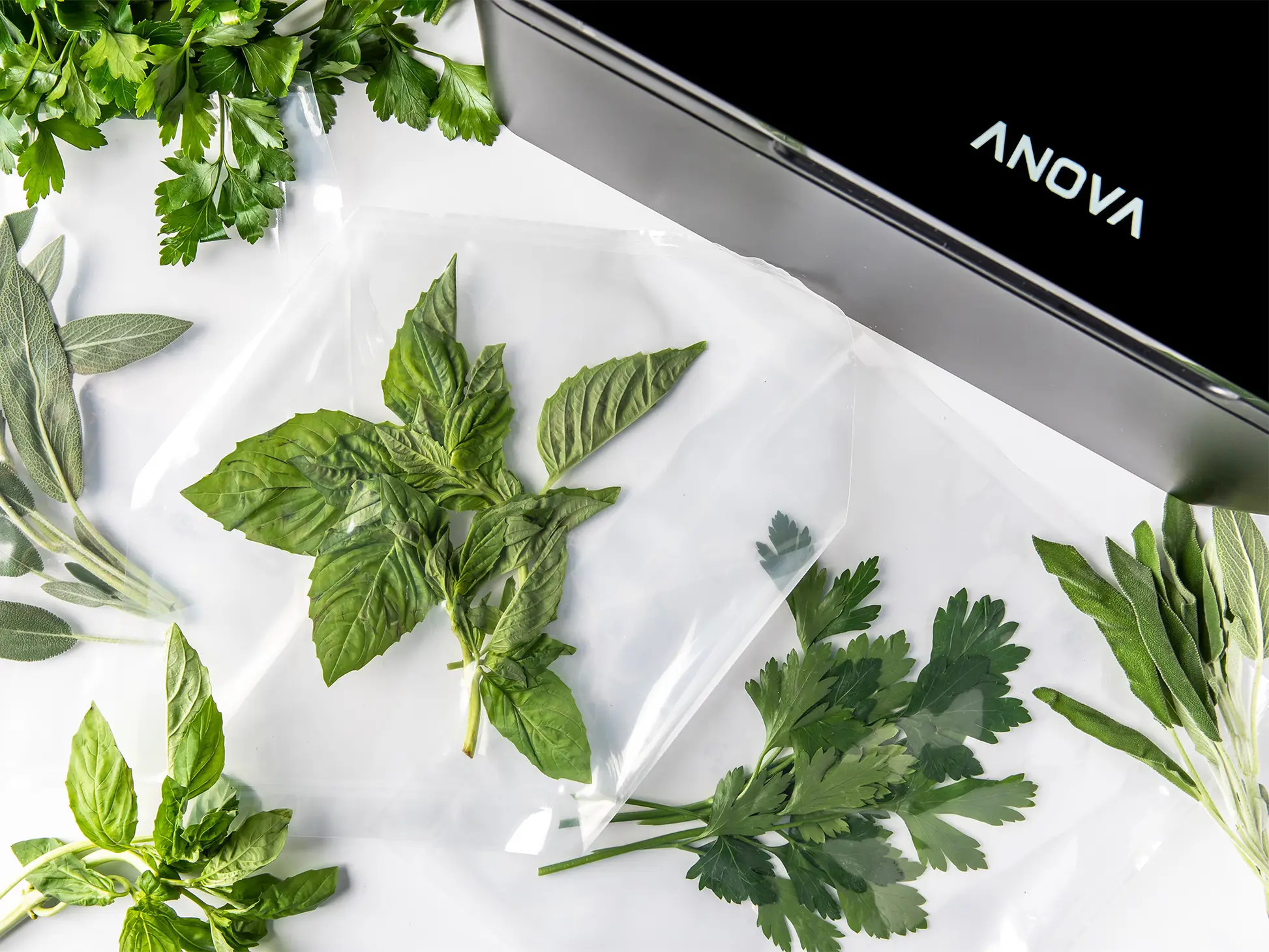 Anova-Chamber-Vacuum-Sealer-6