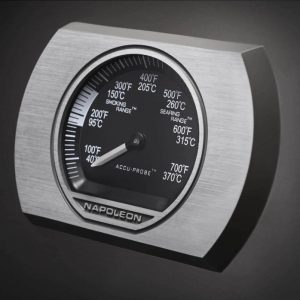 P500RSIBPK-3-Web-Gallery-09-Prestige-P500-3-Details-Thermostat