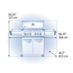 WebGallery_Dimensional_P500RSIB_dual
