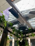 Lilymu_ParramattaSquare_Sydney_PlatinumElectric-4-768x1024-1