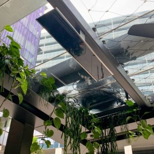 Lilymu_ParramattaSquare_Sydney_PlatinumElectric-4-768x1024-1