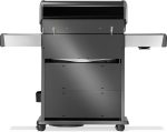 Rogue-PRO-S-525-RSIB-7