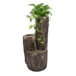 אלמנטי - שלישיית מזרקות Pine