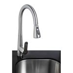 CarmelDirect02617web-1-2