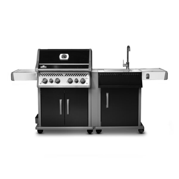 יחידת כיור לנפוליאון ROGUE - דלת שחורה