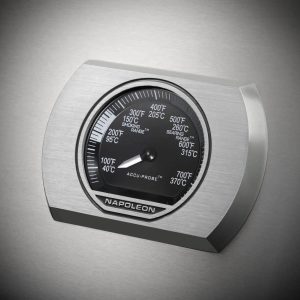 RXT425SIBPSS-1-Web-Gallery-09-Rogue-1-Details-Thermostat-SS