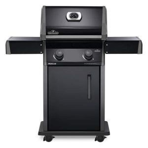 Rogue-R365-1-Prod-Str-1-2