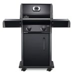 Rogue-R365-1-Prod-Str-e1649763884245-2