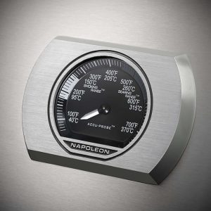 Rogue_Thermostat_Stainless-1