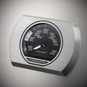 Rogue_Thermostat_Stainless-2
