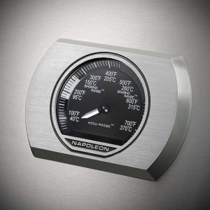 Rogue_Thermostat_Stainless