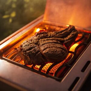 מוקטןrogue_sizze_zone_steak_1-scaled
