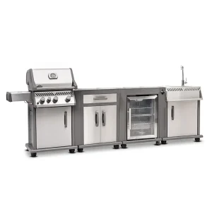 rogue-modular-kitchen-napoleon-ss002