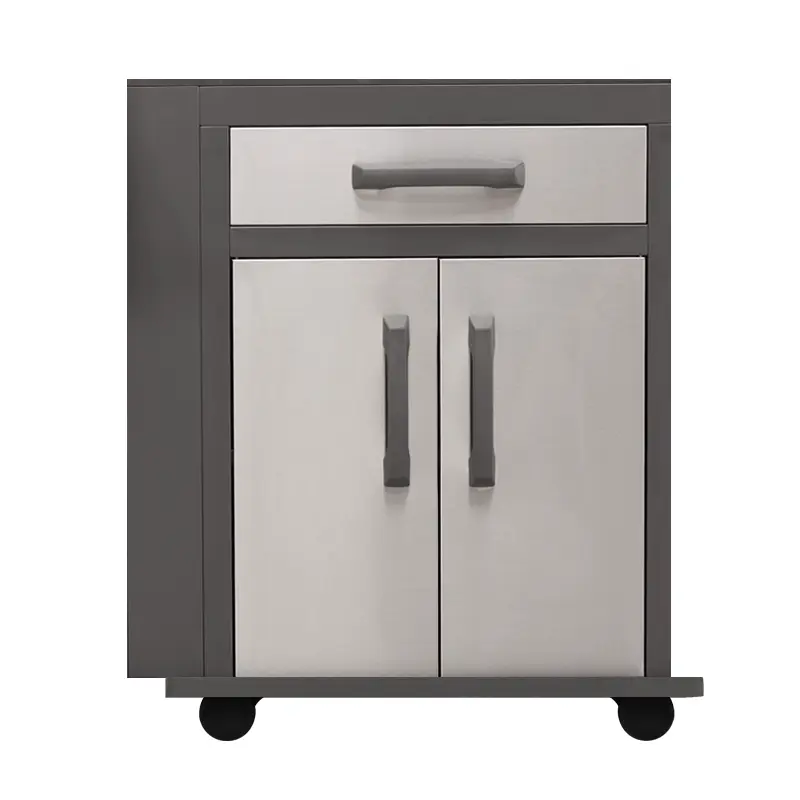 יחידת ארון כפול ומגירה לגריל רוג (כסוף) - NAPOLEON Cab