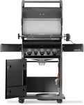 RB425RSBPK-2-CH-R-Web-Gallery-02-Rogue-RB425RSBPK-2-DE-R-Prod-Antmy