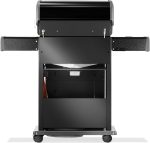 RB425RSBPK-2-CH-R-Web-Gallery-08-Rogue-RB425RSBPK-2-DE-R-Prod-Str-Back-NoRotis